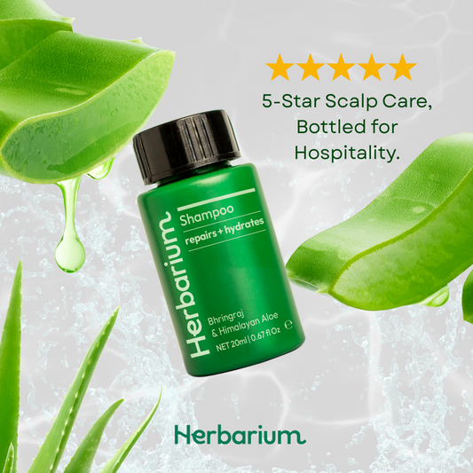 Bulk Shampoo for Hotels – 5 LTR Institutional Pack | Bhringraj & Aloe vera