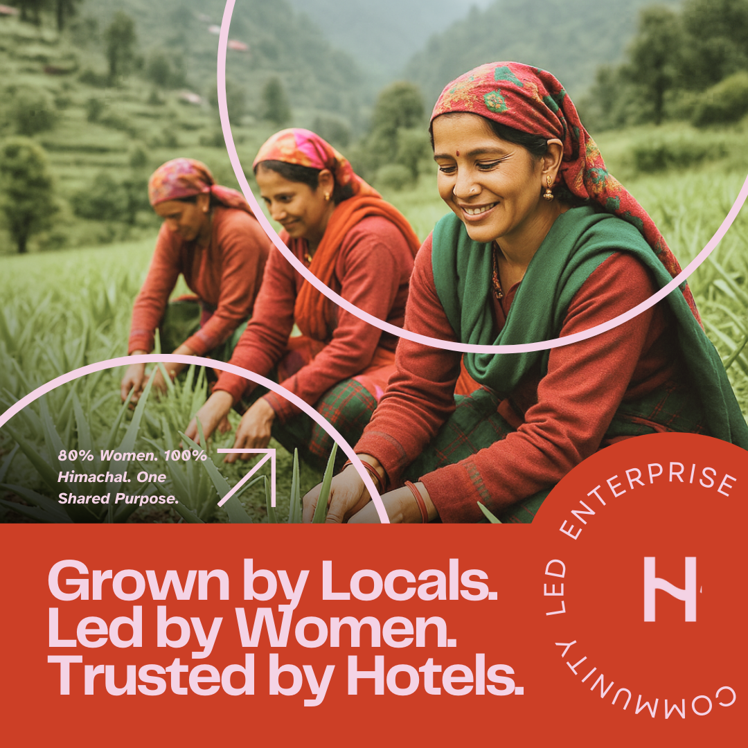 Conditioner for Hotels - 5 LTR Institutional Pack | Shea Butter and Shikakai