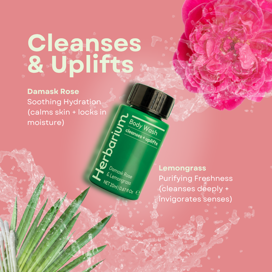 Body Wash for Hotels - 5 LTR Institutional Pack | Damask Rose & Lemongrass