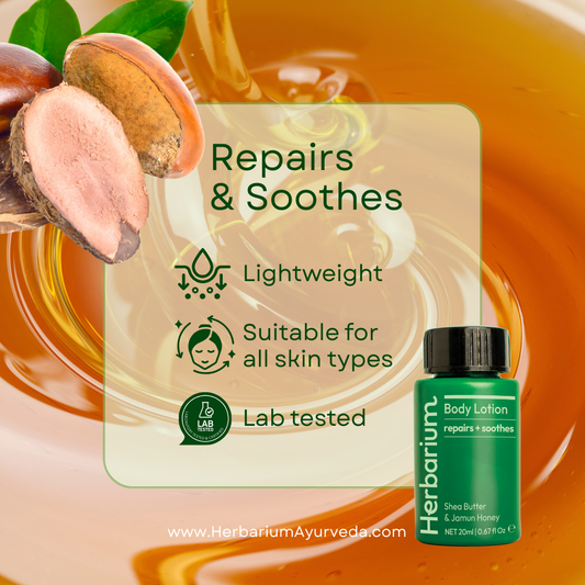 Hotel Toiletries Body Lotion 20ml | Shea Butter + Jamun Honey