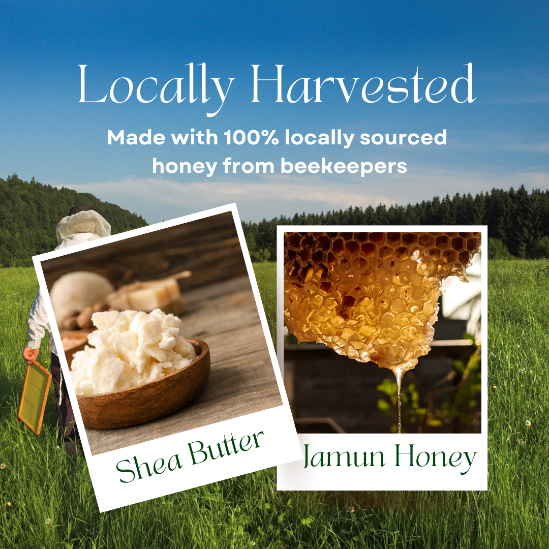 Body Lotion for Hotels – 5 LTR Institutional Pack | Shea Butter + Jamun Honey